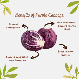 Pasokan pabrik bubuk jus kubis ungu bubuk ekstrak kubis ungu bubuk kubis kering beku - Product Image 4