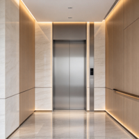 Ascenseur de villa 320kg 400kg, petit ascenseur domestique sans fosse, conception à faible hauteur de plafond pour maison privée, vente en gros directe usine