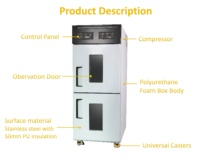 Armoire de Fermentation Électrique en Acier Inoxydable 32 Panneaux pour Pains et Pâtes, avec Compresseur de Haute Qualité, Nouveau Modèle