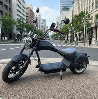 DE Depo Stoğu 3000W 45KM/S Ucuz Fiyatlı Şehir İçi Coco Elektrikli Scooter Ön 17 İnç Lastikli Chopper Arazi Tipi 2 Tekerlekli