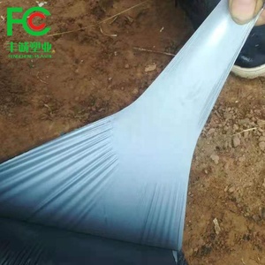 Film plastique agricole pour paillage de culture d'ananas - Product Image 2