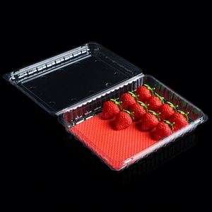 Bandeja de Plástico Desechable de Alta Calidad para Carne, 76x76mm, con Almohadilla Absorbente para Fresas - Product Image 4