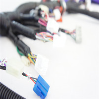 Ensamblaje de cables profesional de China, ensamblaje de piezas de automóviles eléctricos, arnés de cables interno