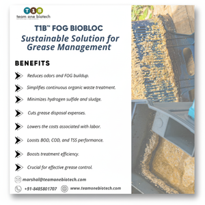 Bloc microbien longue durée pour un piège à graisse efficace dans les équipements de cuisine commerciale - Product Image 1
