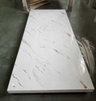 Decoración de Pared Interior Moderna, Lámina de PVC de Alto Brillo, Impermeable, Resistente al Fuego y a las Manchas, con Protección UV, para Uso Doméstico y en Gimnasios