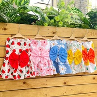 5 stuks groothandel hondenkleding Teddy koelende luxe fruit bloemen huisdier kat hond zomerjurk kleding voor kleine honden