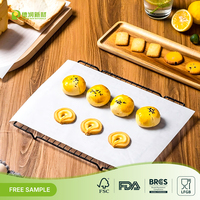 Feuilles de papier parchemin naturel biodégradable, double face, enduites de silicone, antiadhésives, pour grillades, barbecue, emballage alimentaire, 100 feuilles