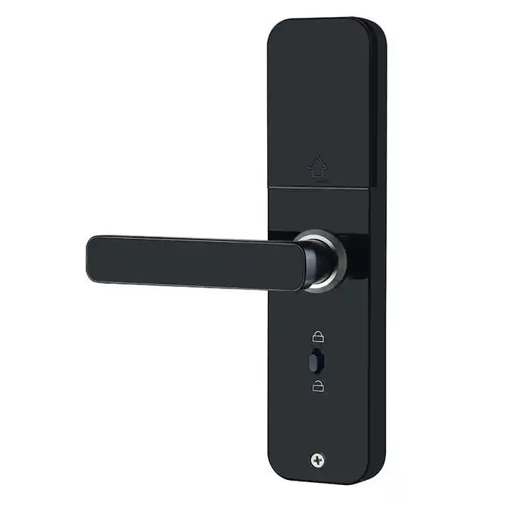 Security Anti Theft Smart Door Lock Tuya Wifi Biometric Intelligent Ttlock Electronic Fingerprint Door Lock