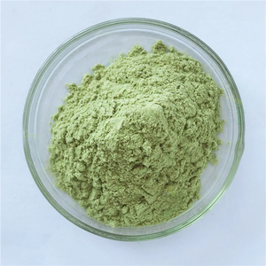 Broccoli estratto di germogli in polvere Broccoli estratto di fiore di Broccoli in polvere verde biologico Broccoli in polvere visione e supporto <span class=keywords><strong>per</strong></span> <span class=keywords><strong>l</strong></span>'immunità - Product Image 4
