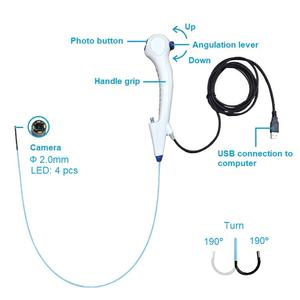Vendita Calda: Endoscopio Riutilizzabile Flessibile in Fibra per Ureteroscopia Equina, Attrezzatura Medica con Fonte Luminosa per Pieloscopia e Diagnosi Y2010 - Product Image 2