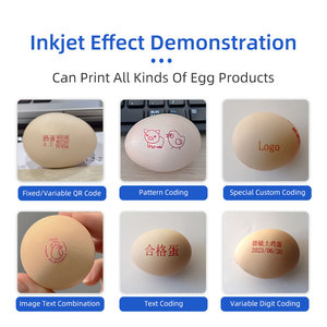 Máy mã hóa trứng Máy in phun trứng sáu đầu cho nhà máy sản xuất trứng gia cầm ngày lô số logo Mẫu Mực dung môi - Product Image 5