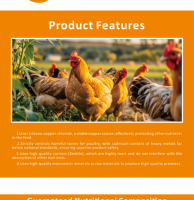 Prémélange de vitamines et de minéraux pour poulets, oies, canards – Additifs alimentaires pour animaux, stimulateur de croissance pour poulets de chair, prémélanges pour volailles