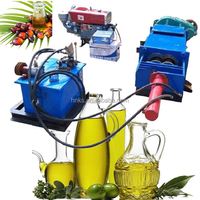 Hoge capaciteit palmolie persmachine fabriek BTMA palmolie persmachine complete productie palmolie verwerkingsmachine
