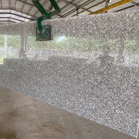 Dalles de comptoir en granit naturel Porino de Chine Elite Stone