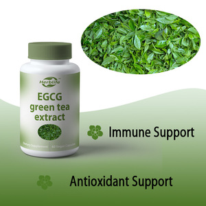 Extracto de Té Verde OEM/ODM, 60 Cápsulas, Suministro para 1 Mes, Suplemento Antioxidante para la Piel, Energía, Cerebro y Salud del Corazón - Product Image 3