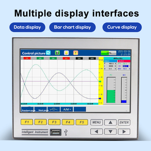 Instrumento Industrial Multicanal para Registro de Temperatura y Flujo, Registrador de Datos sin Papel - Product Image 3
