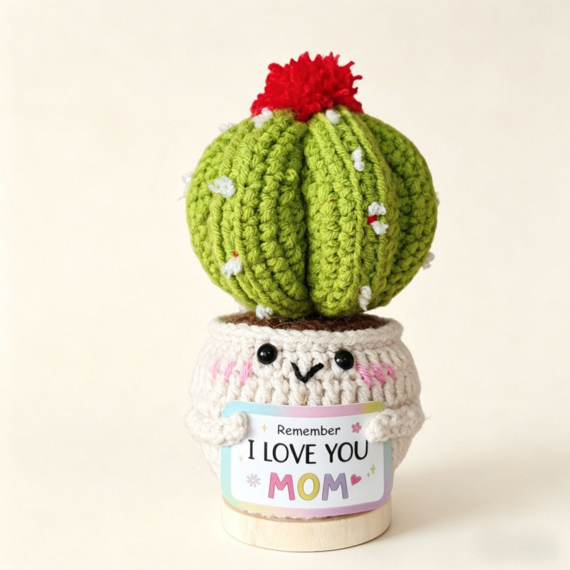 Planta de cactus en maceta, tamaño 5.