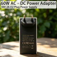 Adaptateur secteur AC/DC 60W, prise EU, sortie DC 30V 2A, chargeur mural, alimentation pour Starlink Mini, utilisation domestique et en camping