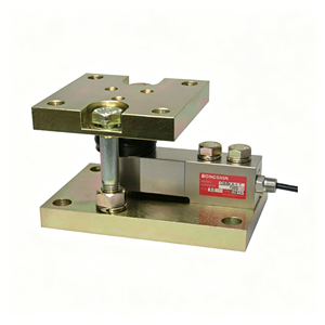 Module de pesage Veidt pour Bongshin coréen BMK11-5t - Product Image 1