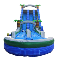 Toboggan gonflable Offre Spéciale de palmier avec la grande glissière pleine d'entrain de PVC de piscine pour des enfants et des adultes