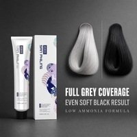 Crème colorante pour cheveux permanente de qualité supérieure à base de plantes sans ammoniaque et sans PPD OEM 100 ml Teinture pour cheveux gris