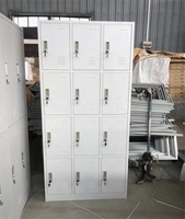 Meubles de bureau Luoyang, armoire pour le personnel, armoire en métal, casier en acier à 12 portes pour le personnel de la salle de sport, casiers en métal pour l'école