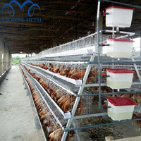 Cages à poulets métalliques soudées pour élevage avicole, poulailler à batterie à 4 niveaux pour poules pondeuses, poussins et élevage, galvanisé