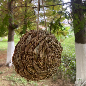 Nid d'oiseau tissé à la main en paille, décoration de jardin suspendue, ornement extérieur, 14x14x2.5cm, taille moyenne pour oiseaux - Product Image 3