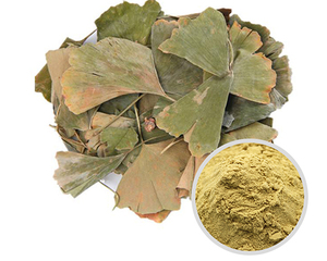 Nhà cung cấp nhà máy ginkgol Biloba chiết xuất bột <span class=keywords><strong>Ginkgo</strong></span> Biloba <span class=keywords><strong>folium</strong></span> chiết xuất gingoflavones24 % tlactone6 % - Product Image 4