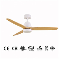 Ventilateur de plafond moderne en métal avec télécommande, éclairage LED, moteur DC, faible bruit, haute vitesse, 6 vitesses, intensité variable, 110V, 3 pales, 3000K-6000K