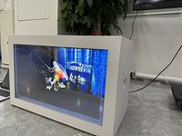 Pantalla LCD Transparente OLED de 55 Pulgadas Directo de Fábrica, Pantalla Publicitaria Digital Inteligente Ultraclara para Tiendas Minoristas y Metro