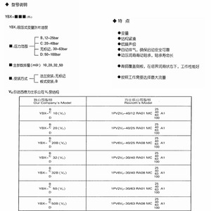 Bomba de Paletas Hidráulica Yinchuan Great Wall Serie YBX D, Flujo Variable, Alta Eficiencia, Funcionamiento Estable - Product Image 2
