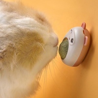Boules de pincement de chat saines et durables enlever les boules de poils favoriser la digestion jouet de collation d'herbe de chat pour chats chiens poisson emballé dans un sac