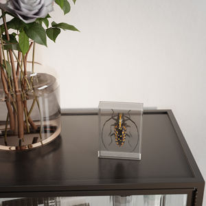 <span class=keywords><strong>Cadre</strong></span> <span class=keywords><strong>photo</strong></span> 3D en acrylique personnalisé avec logo pour spécimen d'insecte - Product Image 4