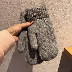 Gants d'hiver personnalisés avec logo, mitaines de Noël épaisses à <span class=keywords><strong>doigts</strong></span> complets pour femmes - Product Image 5