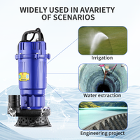 Petite Pompe à Eau Submersible Portable Haute Pression pour Puits Profond avec Moteur Protégé