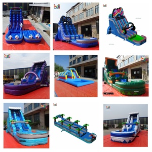 Toboggan aquatique gonflable de taille adulte énorme d'arrière-cour avec piscine pour jeu d'été en plein air pour adultes - Product Image 6