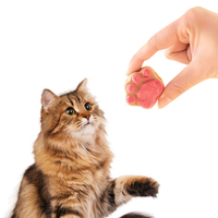 Friandises lyophilisées aux fruits et légumes pour animaux de compagnie – Biscuits à griffer en gros pour chiens et chats