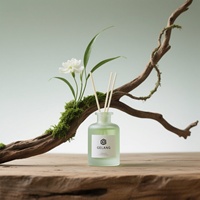 Diffuseur d'arômes flambant neuf, huile de 150 ml, flacons diffuseurs à roseaux personnalisés, ronds, verts, 200 ml, avec boîte