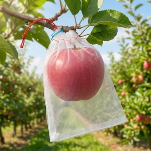 Sac en filet anti-insectes 100 % HDPE vierge, sac de protection en plastique pour fruits, sacs agricoles pour dattes - Product Image 1