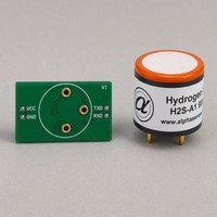 Module de capteur de gaz H2S sur mesure, calibré en usine pour les usines de traitement des eaux usées, la sécurité industrielle, module de capteur de gaz H2S