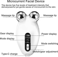 Mini appareil de lifting du visage à micro-courant, masseur facial ABS, outil de soin de la peau, rouleau facial pour le resserrement des rides