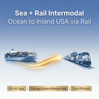Agent d'expédition maritime DDP/DDU/DAP économique |   Transitaire maritime professionnel |   Livraison rapide LCL+Express |   Chine États-Unis
