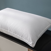 Oreillers en duvet de plumes de canard blanc naturel, personnalisables avec logo, écologiques, pour hôtels de luxe (tailles King et Queen)