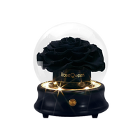 Coffrets de Cadeaux de Luxe Boîte à Musique Bluetooth à Lumière LED pour la Saint-Valentin, Fleur Éternelle pour Toujours, Rose Préservée dans un Dôme en Verre