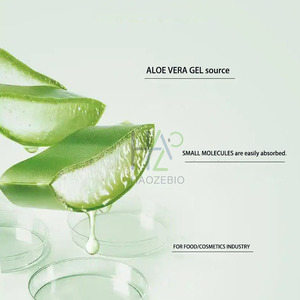 Gel <span class=keywords><strong>d</strong></span>'<span class=keywords><strong>aloe</strong></span> <span class=keywords><strong>vera</strong></span> en vrac, extrait <span class=keywords><strong>d</strong></span>'<span class=keywords><strong>aloe</strong></span> <span class=keywords><strong>vera</strong></span>, 20 kg/tambour, gel <span class=keywords><strong>d</strong></span>'<span class=keywords><strong>aloe</strong></span> <span class=keywords><strong>vera</strong></span> biologique, <span class=keywords><strong>jus</strong></span> <span class=keywords><strong>d</strong></span>'<span class=keywords><strong>aloe</strong></span> <span class=keywords><strong>vera</strong></span>, fourni par l'usine - Product Image 2