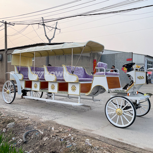 Charrette de tourisme vintage de haute qualité à plusieurs places, couleur personnalisée, traînée par des chevaux ou électrique, pour les touristes des parcs à thème - Product Image 2