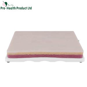 نموذج للتدريب الجراحي على خياطة الجلد بالحقن من مادة TPE من من من من مادة البولي إيثيلين من من من أجل العلوم الطبية - Product Image 2