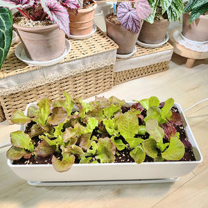 Pot de fleurs rectangulaire blanc moderne avec soucoupe et plateau de drainage, jardinière en plastique léger et durable pour usage intérieur/extérieur - Product Image 2