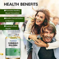 Ausreson Großpackung Ginseng-Softgel-Kapseln mit Ginkgo Biloba 1000mg, Nahrungsergänzungsmittel für das Gehirn, 120 mg 500mg Ginkgo Biloba Softgel-Kapseln